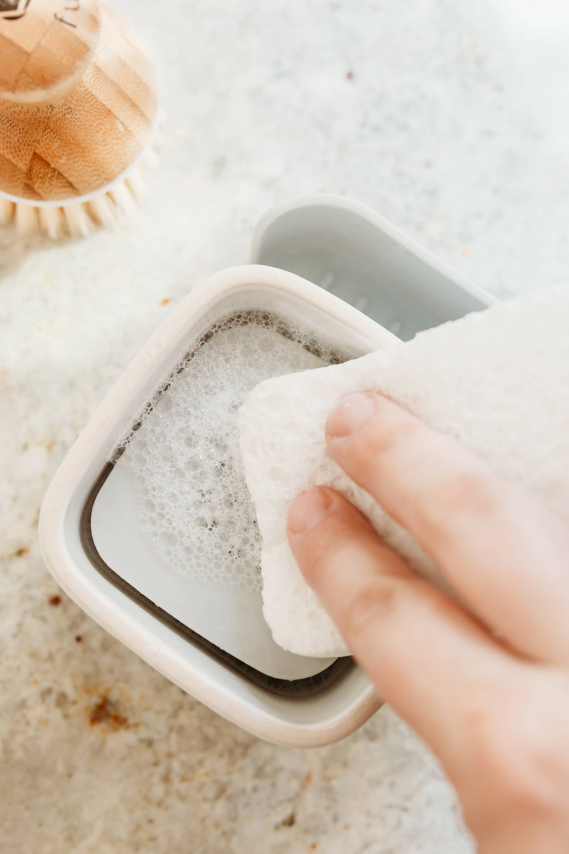 Full Circle Home - Bubble Up Sponge & Ceramic Dish