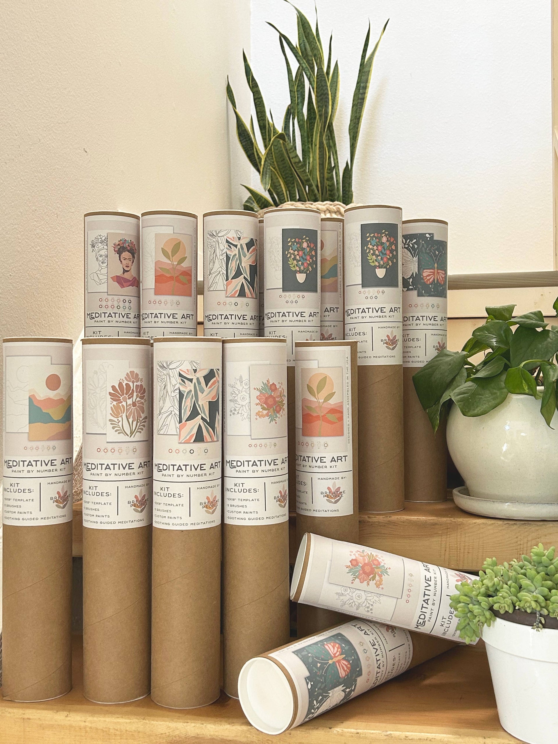 Paint by Number Kit