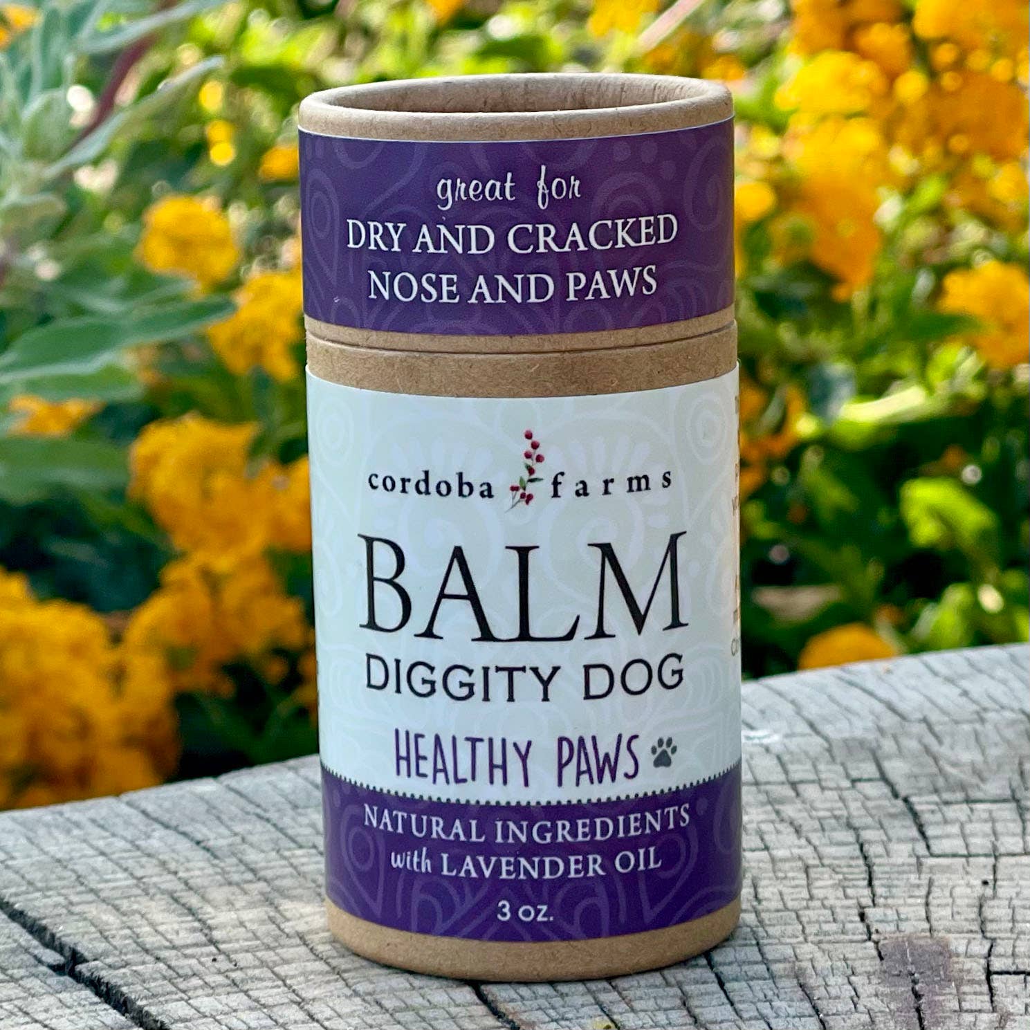 Cordoba Farms - Balm Diggity Dog | Paw Protection