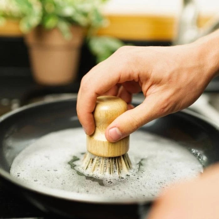 plant pot brush Dish and Pot brush scrubber – We Fill Good