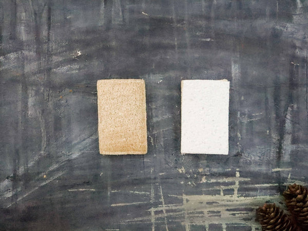 Compostable Eco Sponge