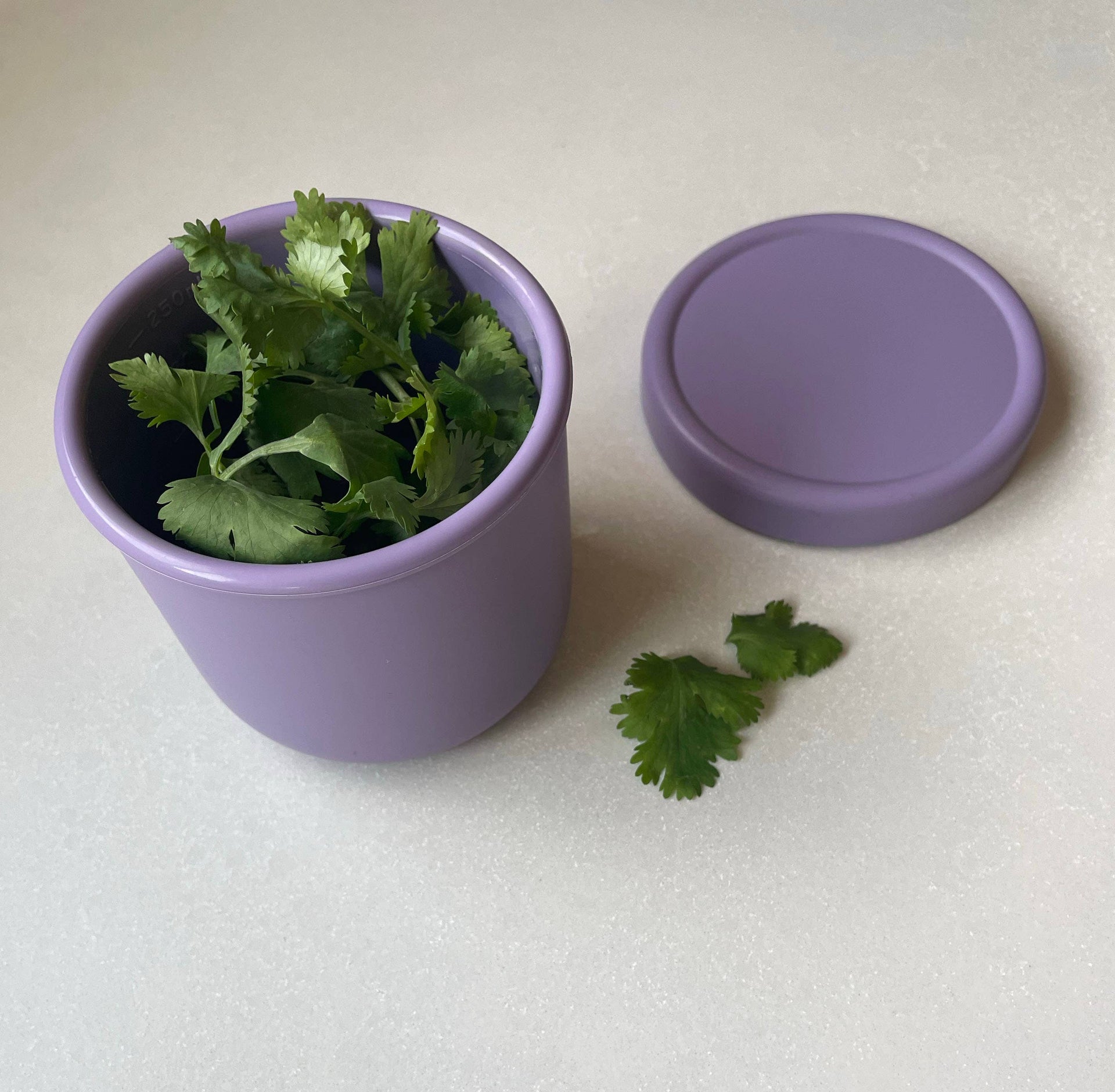 Small Silicone Food Storage Container bowl with Lid