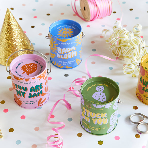 Modern Sprout - Color Grow Kits