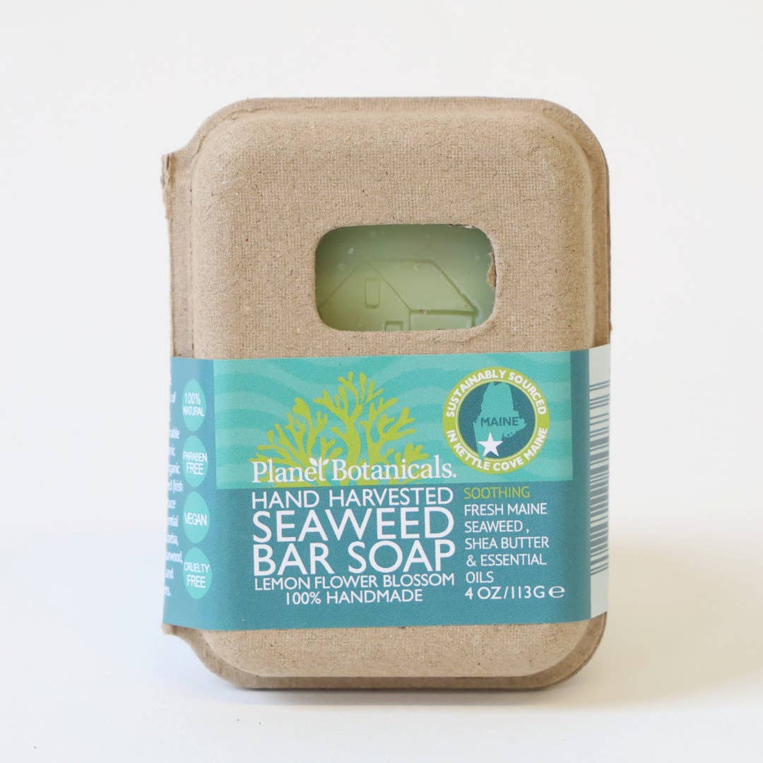 Planet Botanicals - Planet Botanicals Seaweed Bar Soap — Wild-Harvested, Vegan
