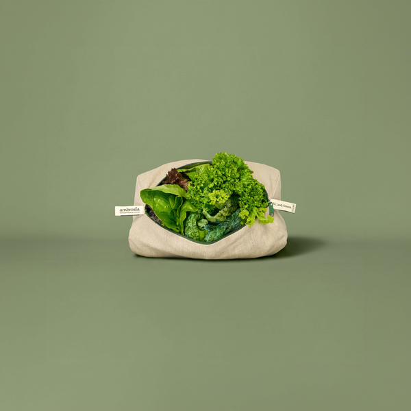 Ambrosia Bag - XL Leafy Greens Bag | Reusable Linen Produce Storage