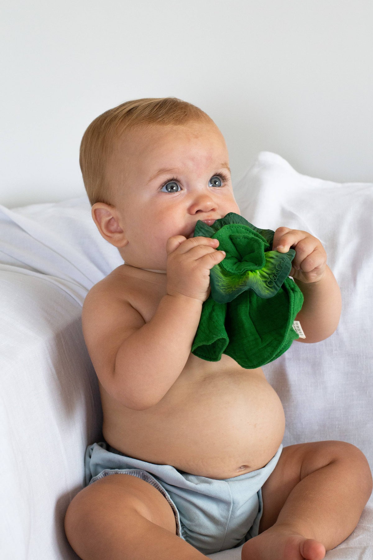 Oli & Carol - Kendall the Kale Mini DouDou Teether