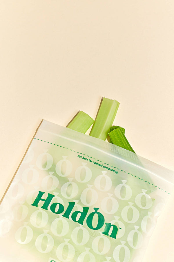 HoldOn Bags - Sandwich Zipseal Bags (100 pack)