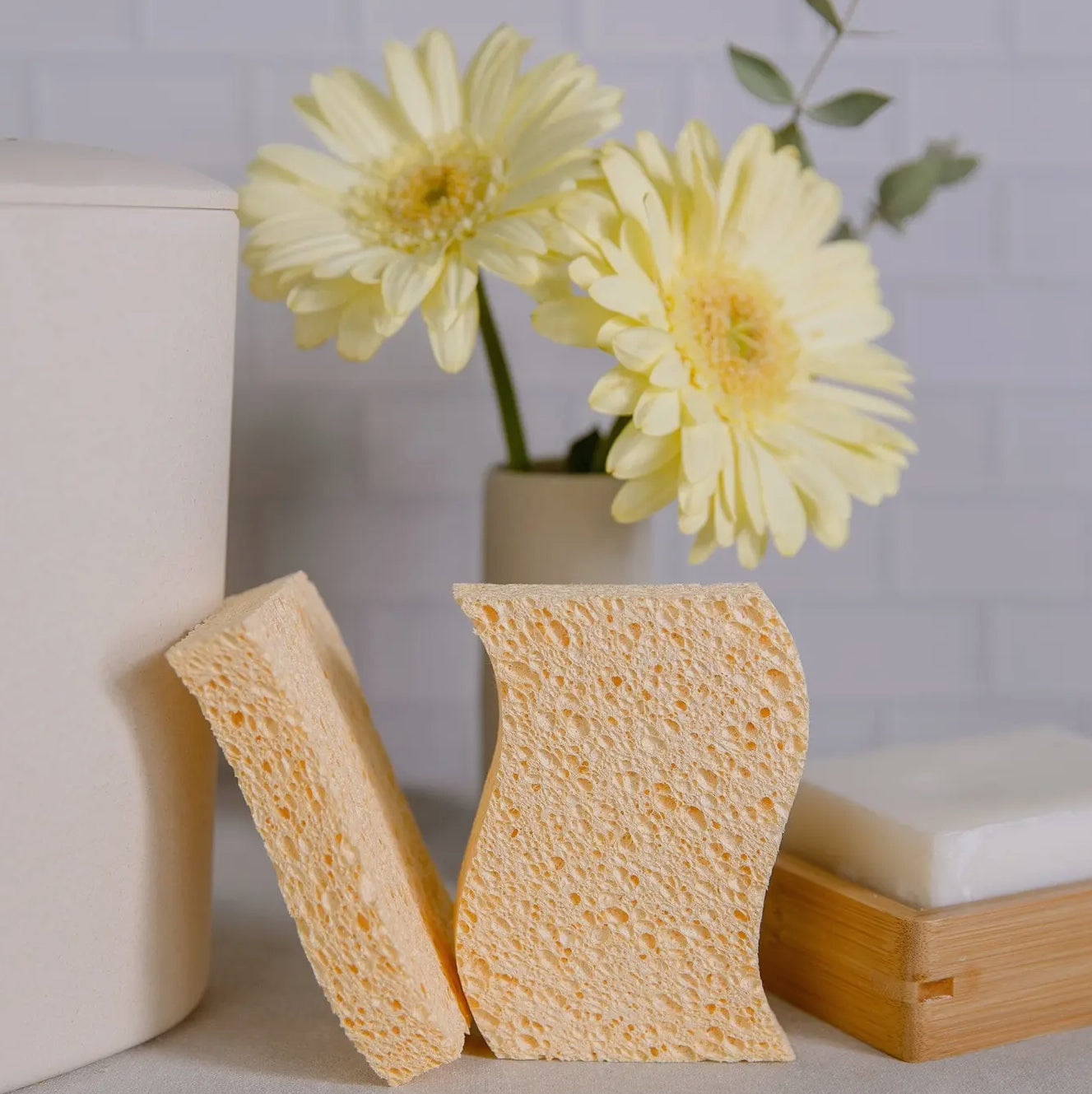 Compostable Eco Sponge