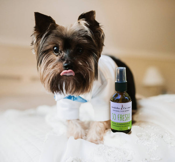 Cordoba Farms - So Fresh! Pet spray