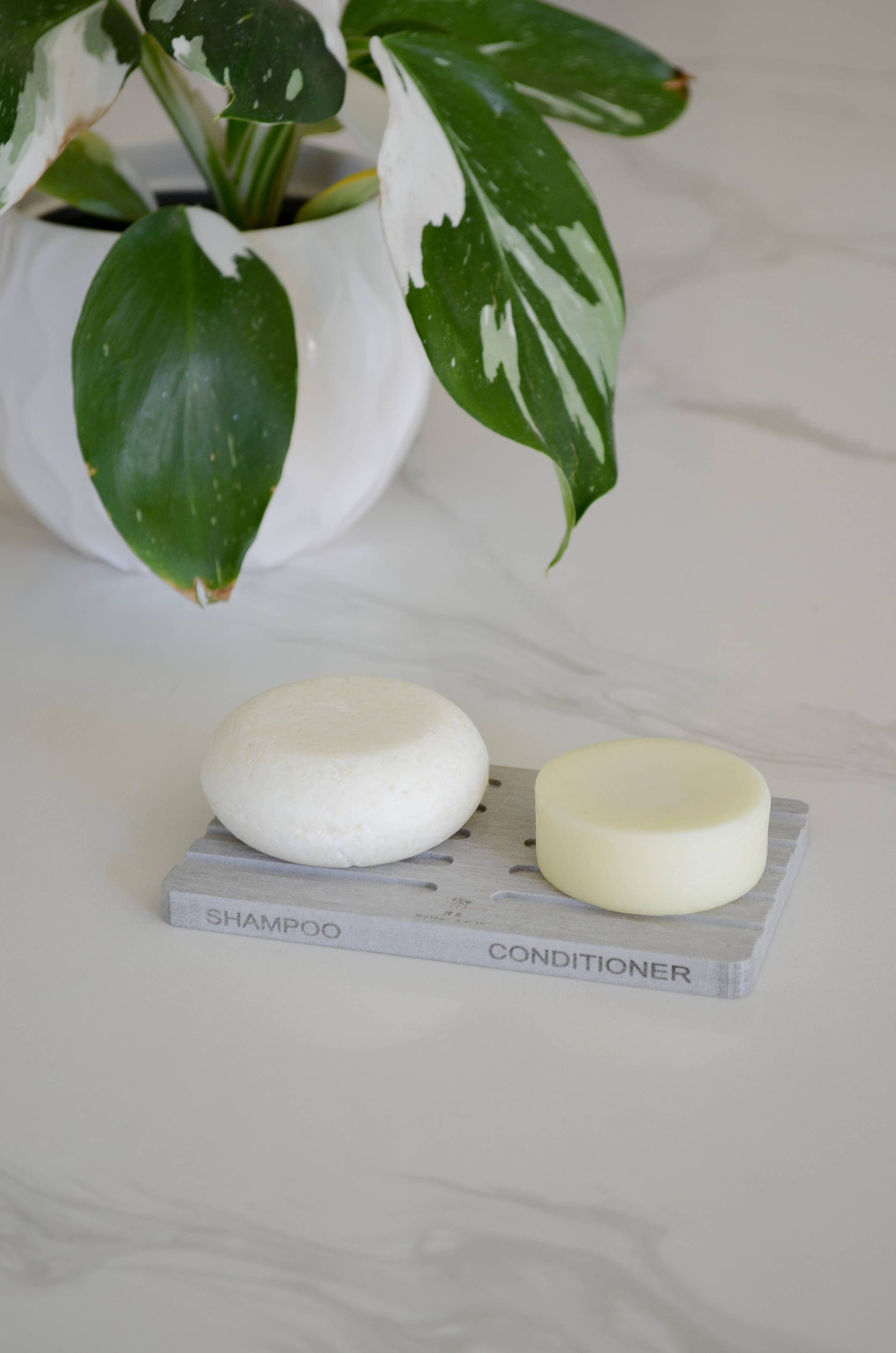 Quick-Dry Diatomite Soap Dish Shampoo & Conditioner