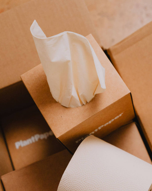 PlantPaper - Unbleached, 3-ply Bamboo Facial Tissue