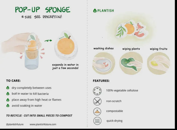Pop-up Sponge