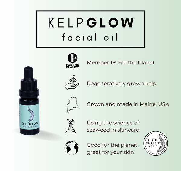 Cold Current Kelp - Fragrance Free KelpGlow Facial Oil Mini