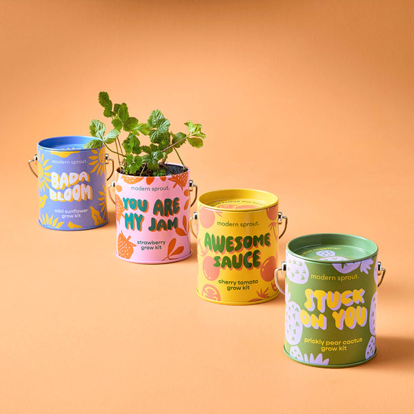 Modern Sprout - Color Grow Kits