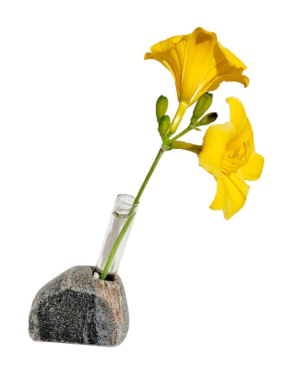 Sea Stones - Living Bloom Bud Vase