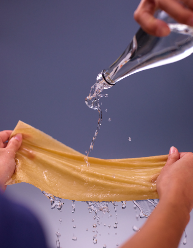 PlantPaper - PlantPaper Towel