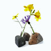 Sea Stones - Living Bloom Bud Vase