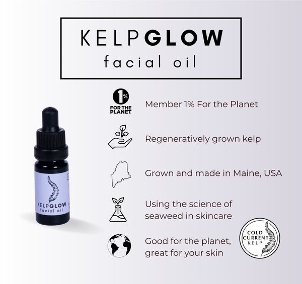 Cold Current Kelp - lavender KelpGlow Facial Oil Mini