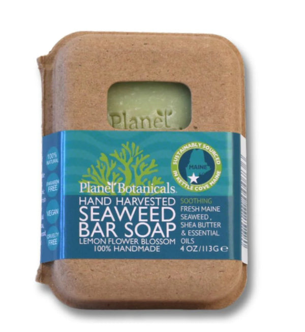SEAWEED HAND MADE BAR SOAP