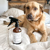Yam collective dog spray