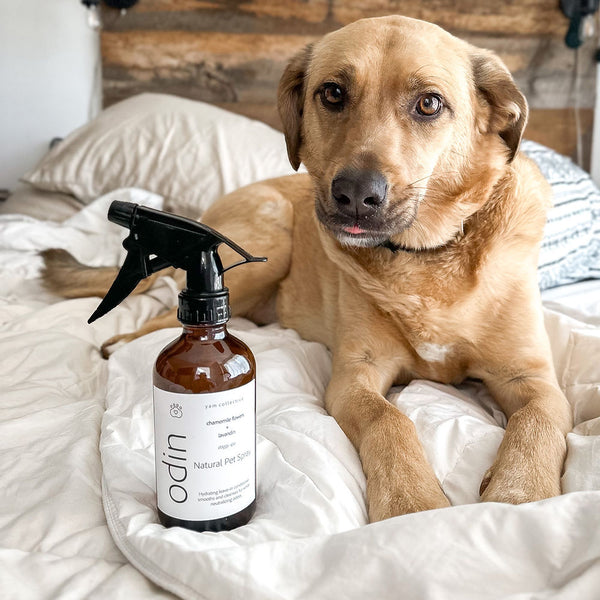 Yam collective dog spray