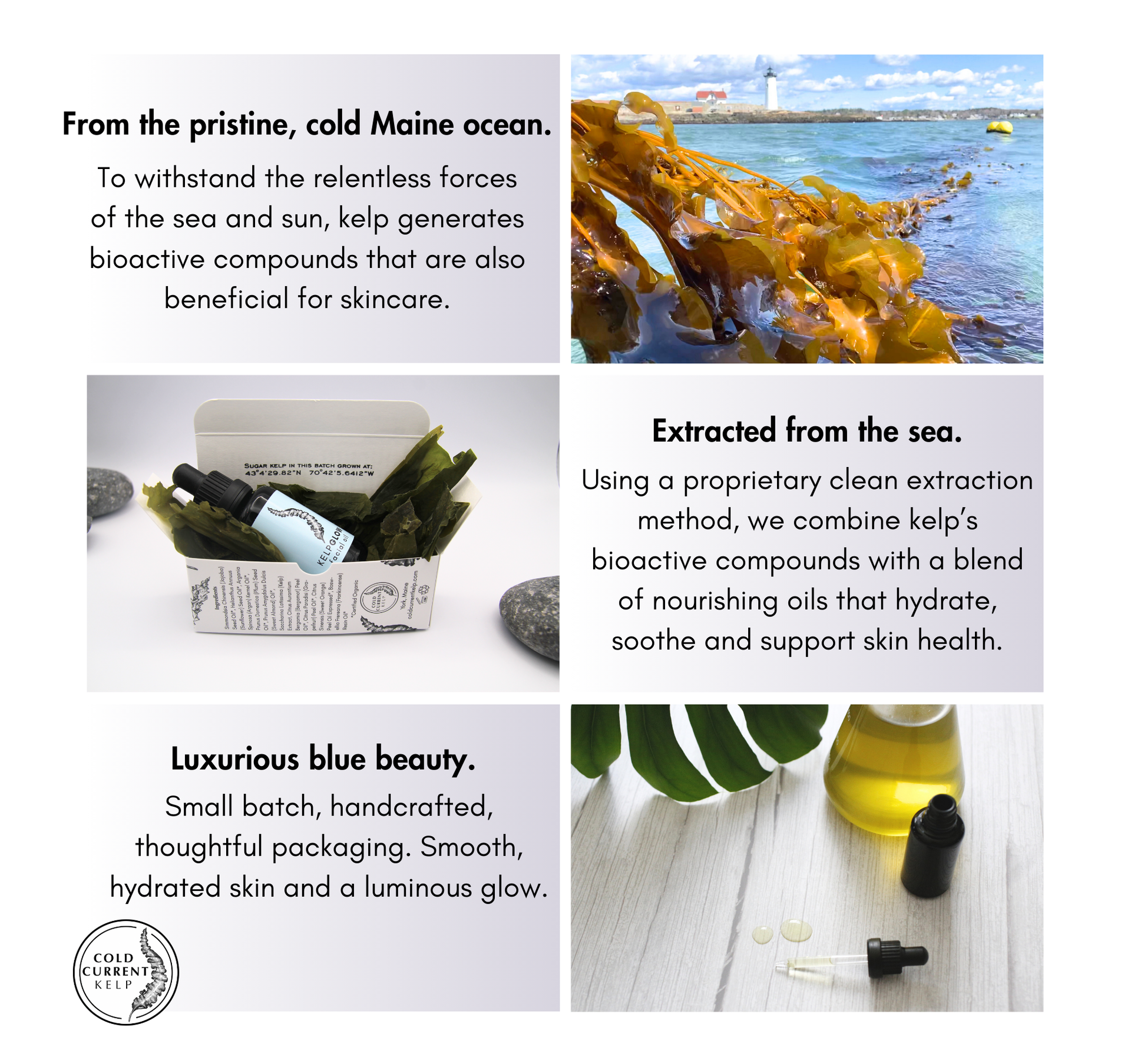Cold Current Kelp - lavender KelpGlow Facial Oil Mini