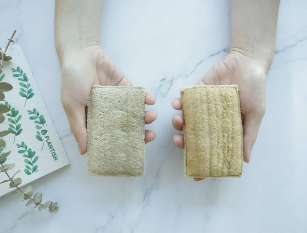 Compostable Eco Sponge