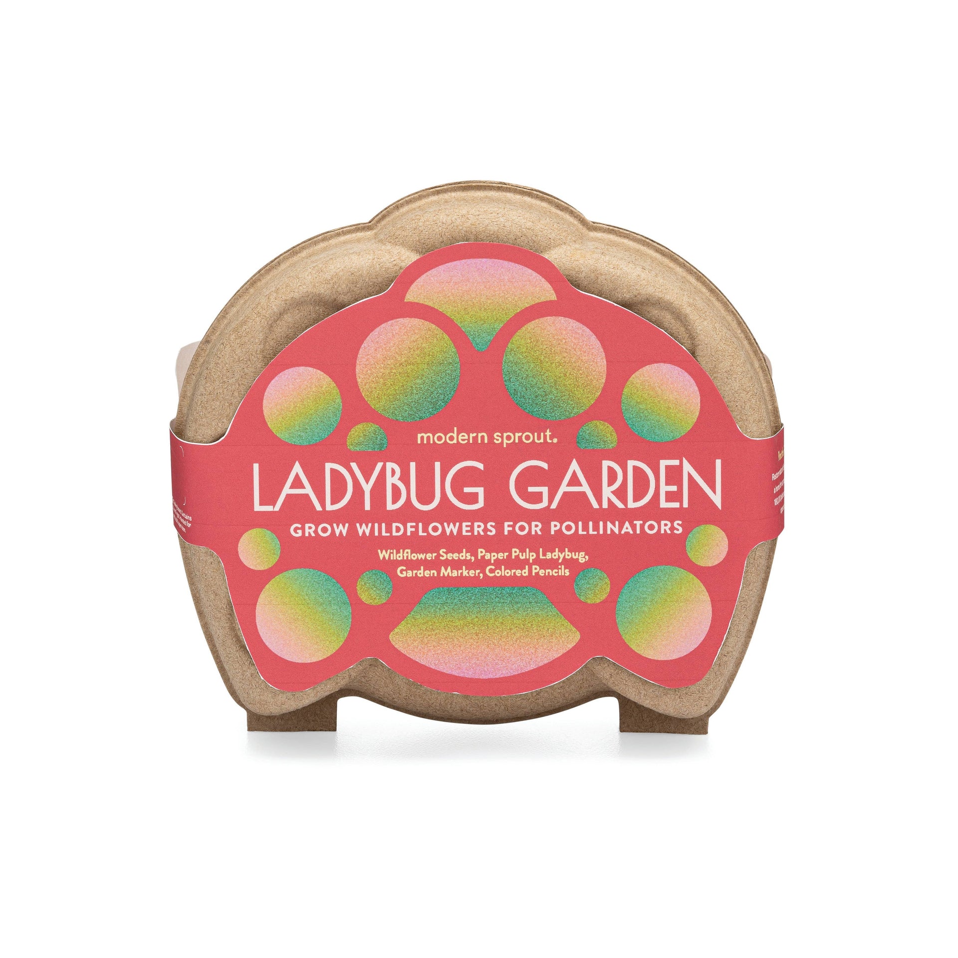 Modern Sprout - Curious Critters Ladybug Activity Kit