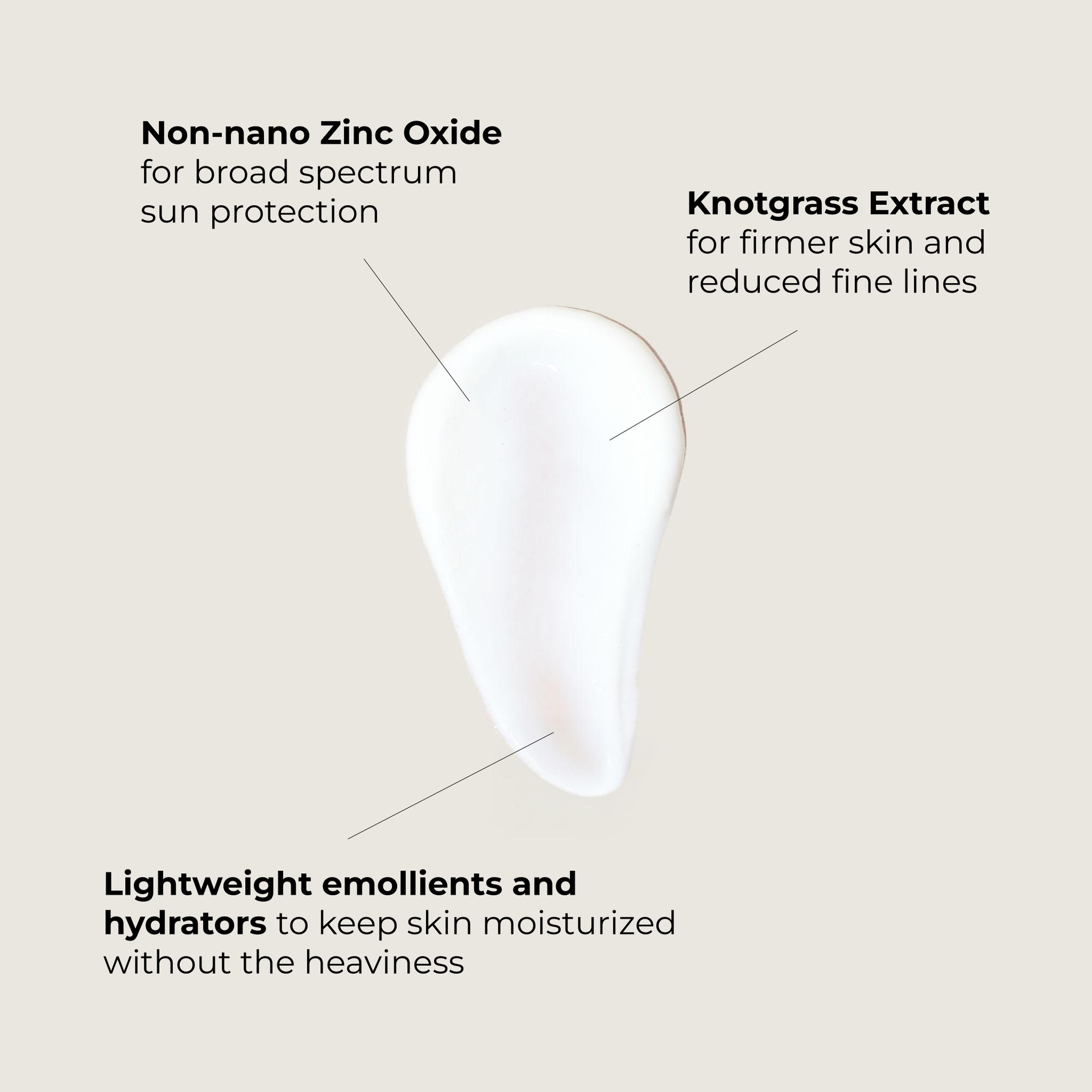 Rebrand Skincare - Foresight Sunscreen SPF 30 ~ Mineral Sunscreen for Face