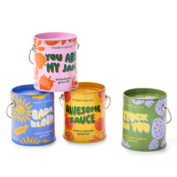 Modern Sprout - Color Grow Kits
