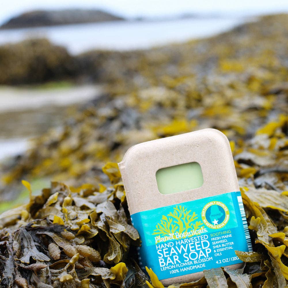 Planet Botanicals - Planet Botanicals Seaweed Bar Soap — Wild-Harvested, Vegan