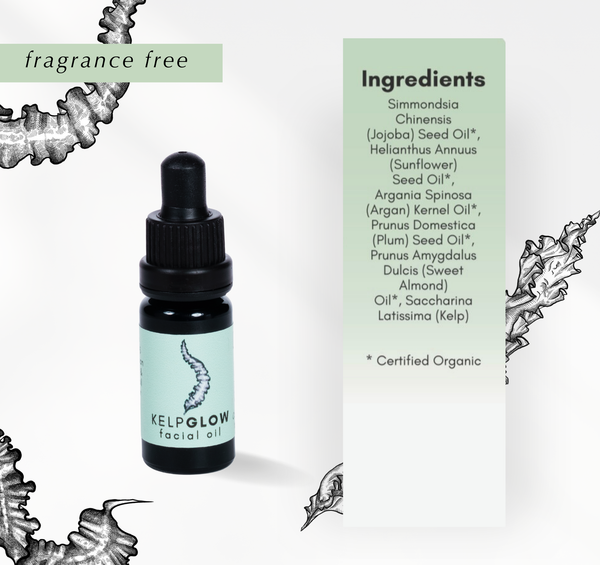 Cold Current Kelp - Fragrance Free KelpGlow Facial Oil Mini
