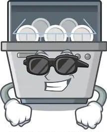 DISHWASHER & LAUNDRY PODS DELIVERY