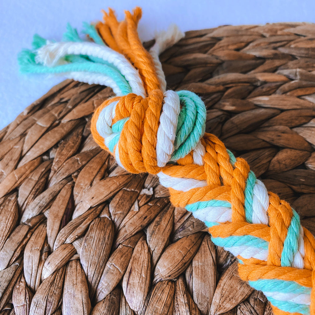 Tug of War Rope Dog Toy
