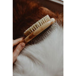 Dog Brush