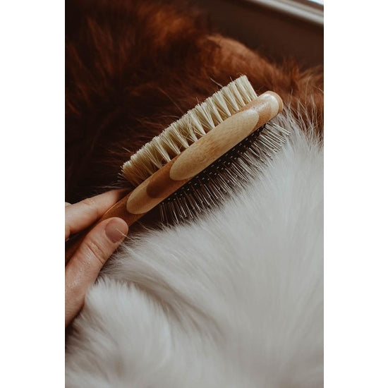 Dog Brush