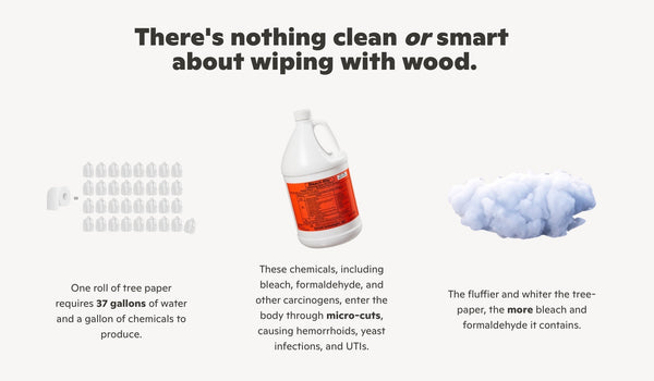 Plant Paper - Toilet paper 8 pack