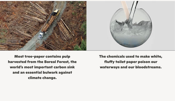 Plant Paper - Toilet paper 8 pack