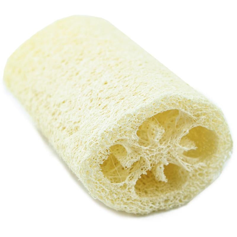 Loofah sponge for bath